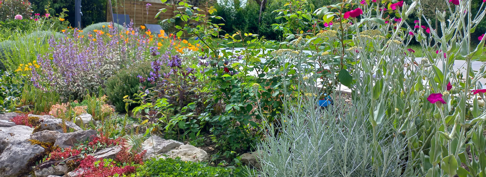 Conseils et accompagnement au jardin